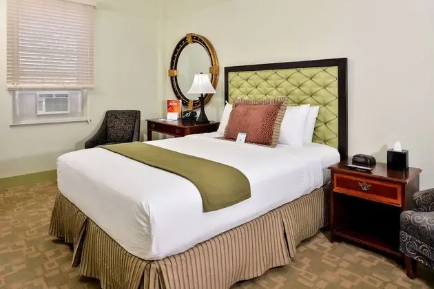 Süit, 1 Büyük (Queen) Boy Yatak