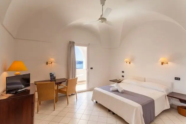 Superior Tek Büyük veya İki Ayrı Yataklı Oda