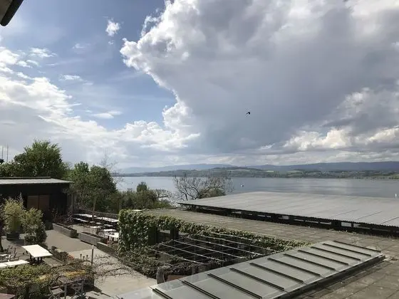 Superior Tek Büyük Yataklı Oda, Şehir Manzaralı