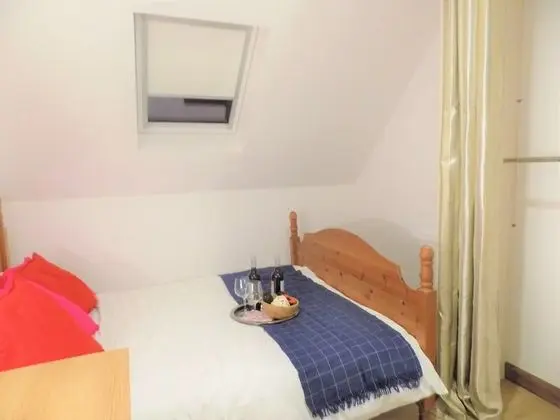 Stüdyo, 1 Çift Kişilik Yatak, Özel Banyo
