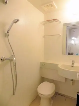 Stüdyo, 1 Çift Kişilik Yatak, Özel Banyo