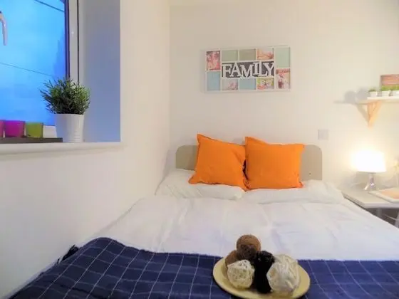 Tek Büyük Yataklı Oda, 1 Çift Kişilik Yatak, Özel Banyo