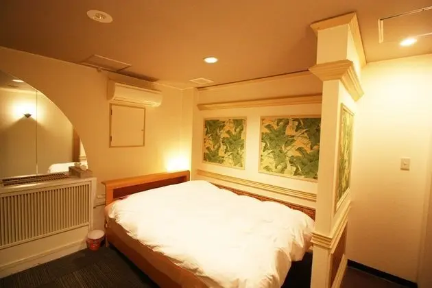 Standard Tek Büyük Yataklı Oda, Sigara İçilebilir (Love Hotel)