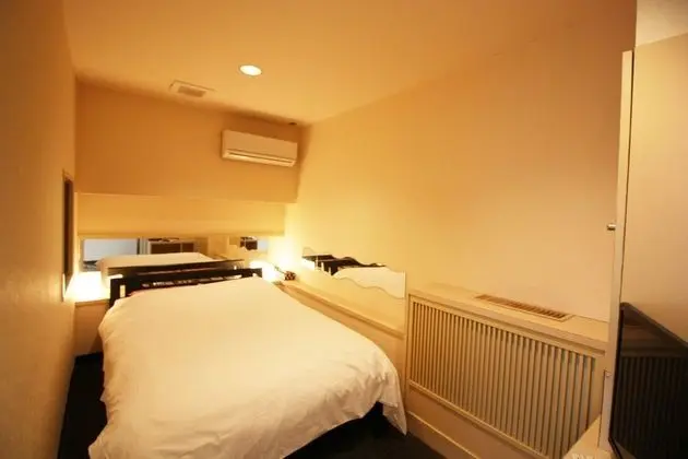 Standard Tek Büyük Yataklı Oda, Sigara İçilebilir (Love Hotel)