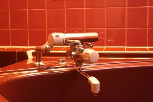Standard Tek Büyük Yataklı Oda, Sigara İçilebilir (Love Hotel)