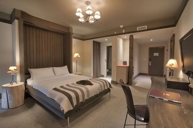Comfort Oda, 1 Büyük (Queen) Boy Yatak, Engellilere Uygun