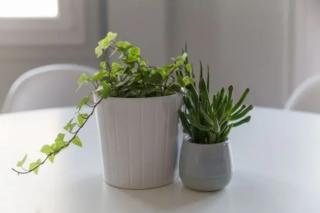 Apart Daire, 2 Yatak Odası, Balkon