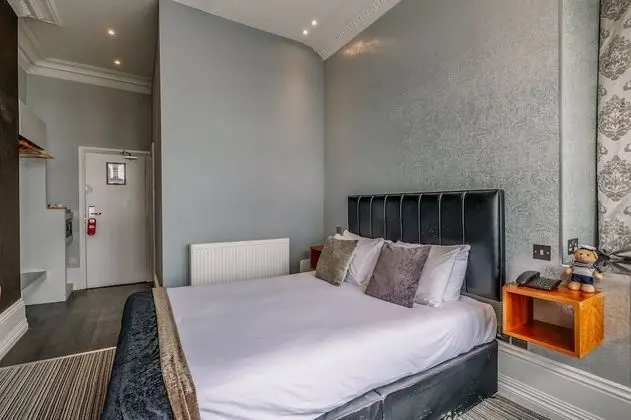 Junior Tek Büyük Yataklı Oda (Junior Executive Room)