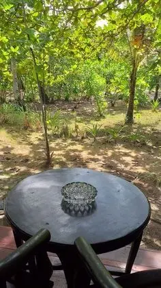 Economy Kır Evi