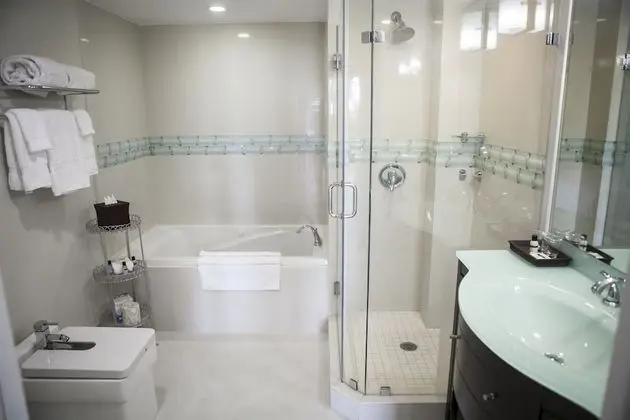 Deluxe Oda, 1 En Büyük (King) Boy Yatak (Deluxe One-Bedroom Suite)