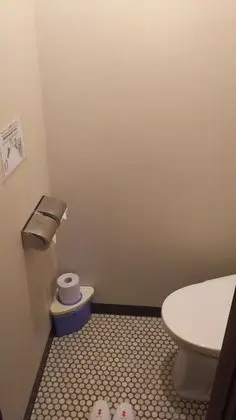 Traditional Oda, Sigara İçilmez, Ortak Banyo (Single use, Standard Japanese Style)