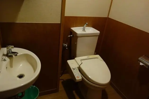 Traditional Oda, Sigara İçilmez, Özel Banyo (Superior)