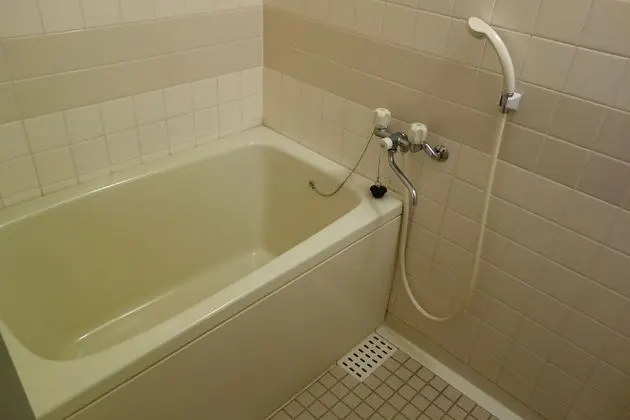 Traditional Oda, Sigara İçilmez, Özel Banyo (Superior)