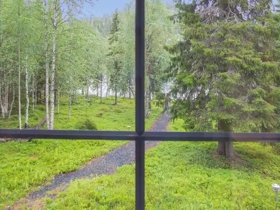 Ev
