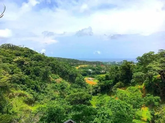Ev, Ek Bina (Private Vacation, Bungalow)