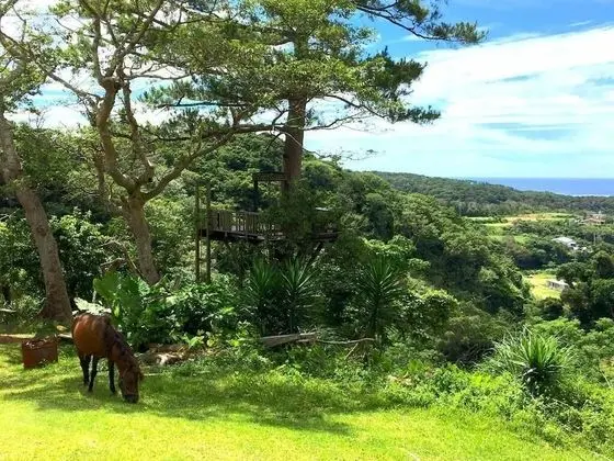 Ev, Ek Bina (Private Vacation, Bungalow)