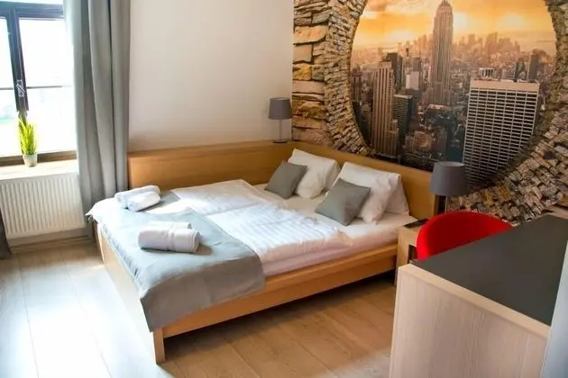 Standard Tek Büyük Yataklı Oda (extra bed)