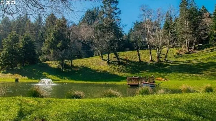 Ev, Birden Çok Yatak (MV28: Gold Beach Oceanfront Estate)