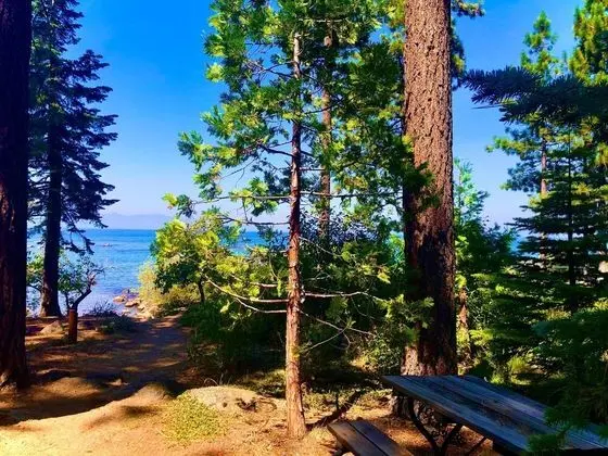 Ev, Birden Çok Yatak (MV49: Historical Miners Lake Tahoe La)