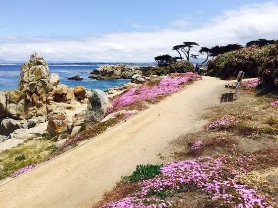 Kulübe, Birden Çok Yatak (MV6: Lover's Point Mermaid Cottage)