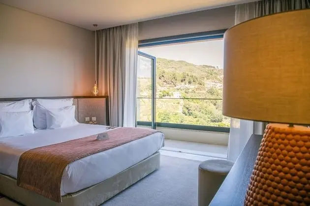 Deluxe Tek Büyük Yataklı Oda, Üzüm Asması Manzaralı