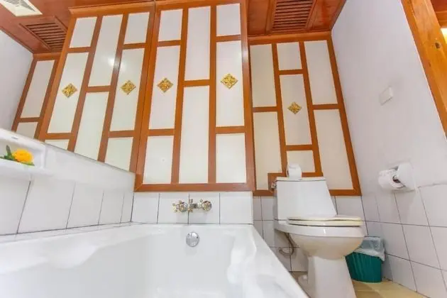 Deluxe Tek Büyük Yataklı Oda, 1 Çift Kişilik Yatak, Sigara İçilebilir, Park Manzaralı