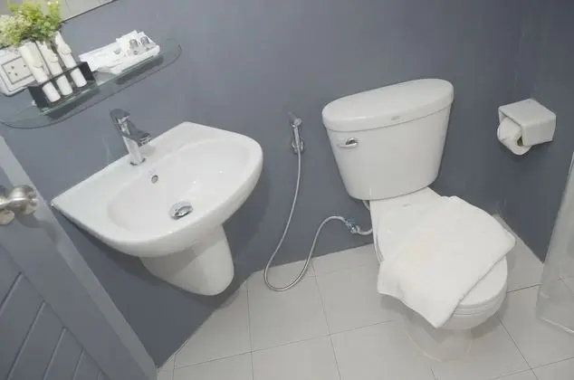 Standard Tek Büyük Yataklı Oda, 1 Büyük (Queen) Boy Yatak, Buzdolabı