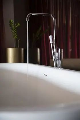 Çatı Katı Süiti (Penthouse)