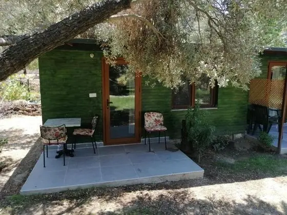Standart dört kişilik oda