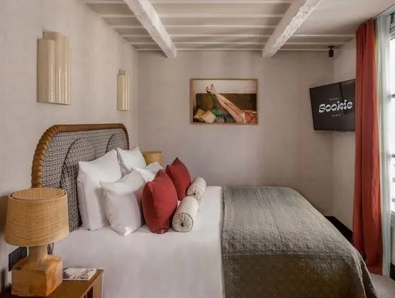 Deluxe Tek Büyük veya İki Ayrı Yataklı Oda