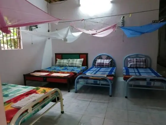 Single Bed in Shared Dormitory