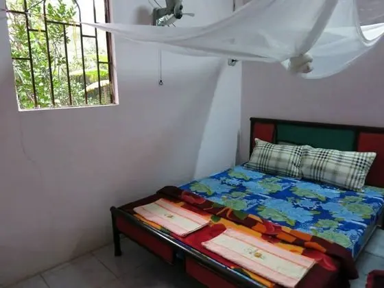 Single Bed in Shared Dormitory