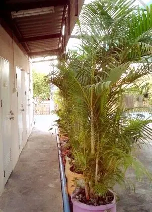 Basic Tek Büyük Yataklı Oda, Ortak Banyo (Air-condition)