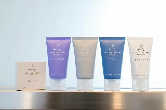 İki Ayrı Yataklı Oda, Dağ Manzaralı (Suite)