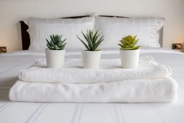 Superior Tek Büyük Yataklı Oda