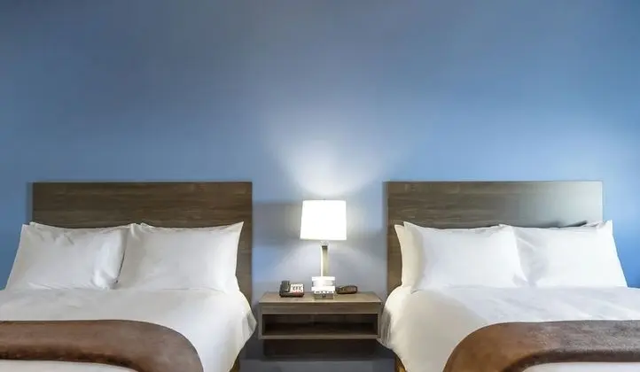 Oda, 2 Büyük (Queen) Boy Yatak, Engellilere Uygun