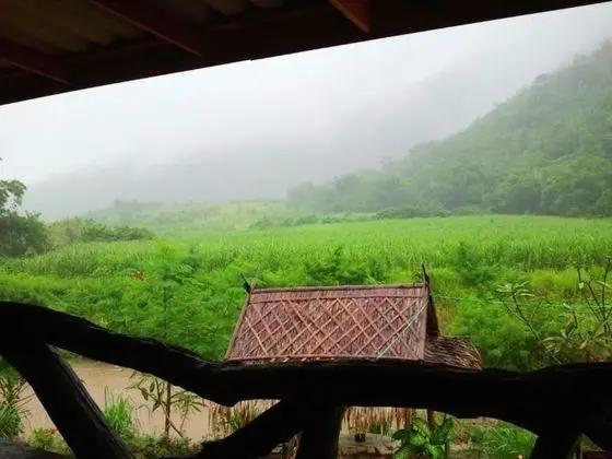 Bamboo Hut