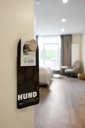 Deluxe Stüdyo Süit, 1 En Büyük (King) Boy Yatak, Veranda