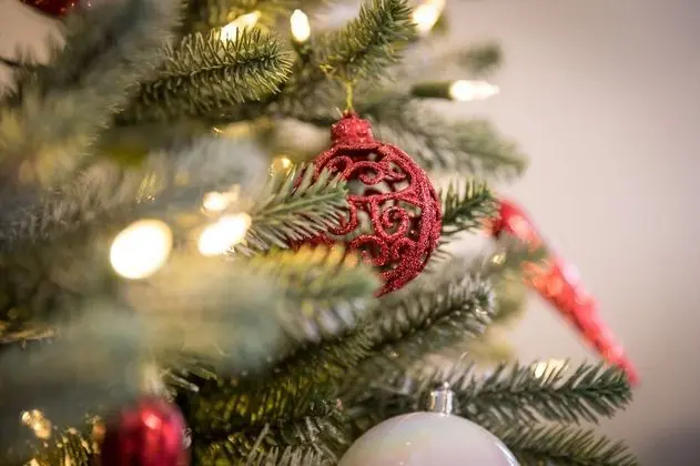 Apart Daire, Banyolu/Duşlu (Christmas Apartment)
