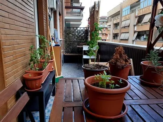 Basic Tek Büyük Yataklı Oda, 1 Büyük (Queen) Boy Yatak, Ortak Banyo (Balcony)