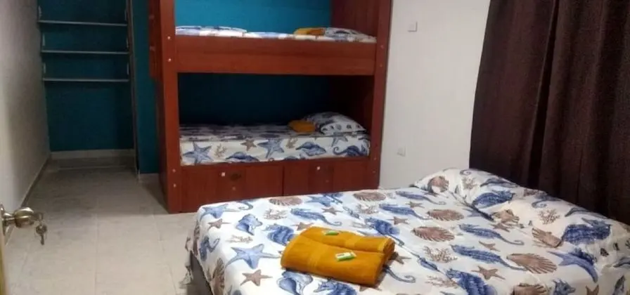 Standard İki Ayrı Yataklı Oda, 2 Çift Kişilik Yatak