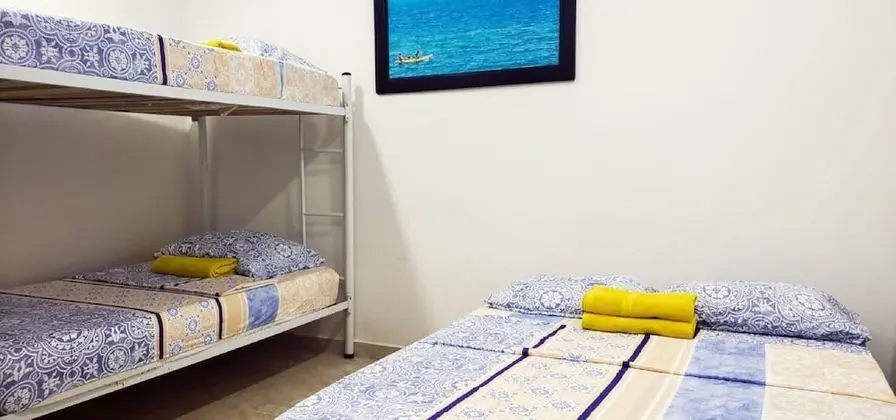 Standard İki Ayrı Yataklı Oda, 2 Çift Kişilik Yatak