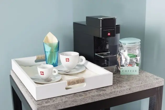 Superior Tek Büyük Yataklı Oda