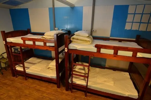 Ortak Ranzalı Oda, Sadece kadınlar için (10 beds)