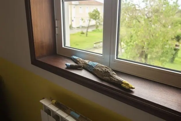 Superior Tek Büyük Yataklı Oda