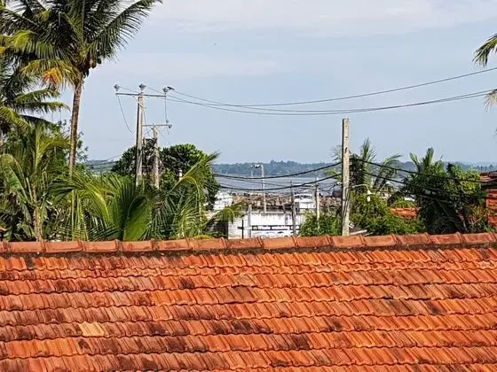 Deluxe Oda, 1 Büyük (Queen) Boy Yatak, Özel Banyo