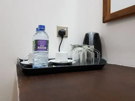 Deluxe Oda, 1 Büyük (Queen) Boy Yatak, Özel Banyo