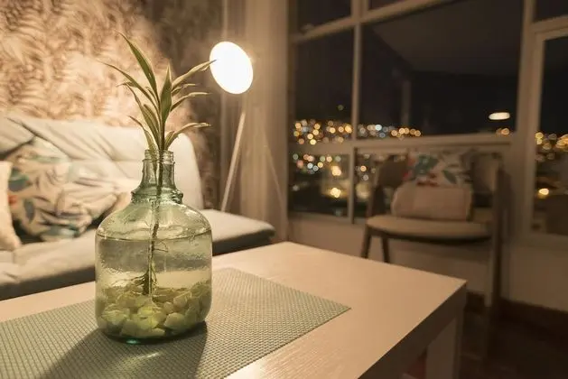 Deluxe Apart Daire, 1 Yatak Odası, Şehir Manzaralı