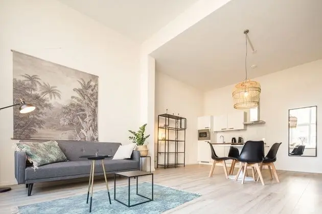 Apart Daire, 1 Yatak Odası (B)