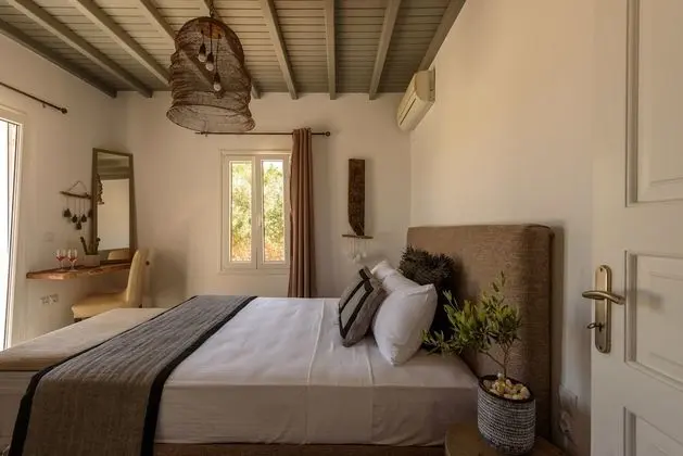 Myconian Platinum Guest house with Private Pool